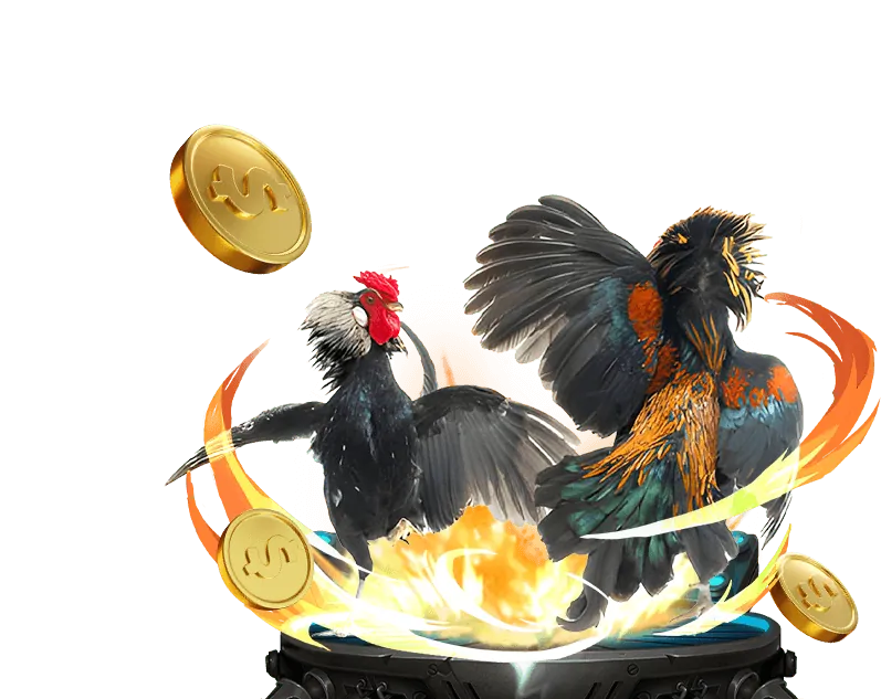 Các loại hình trò chơi tại okkingcom login